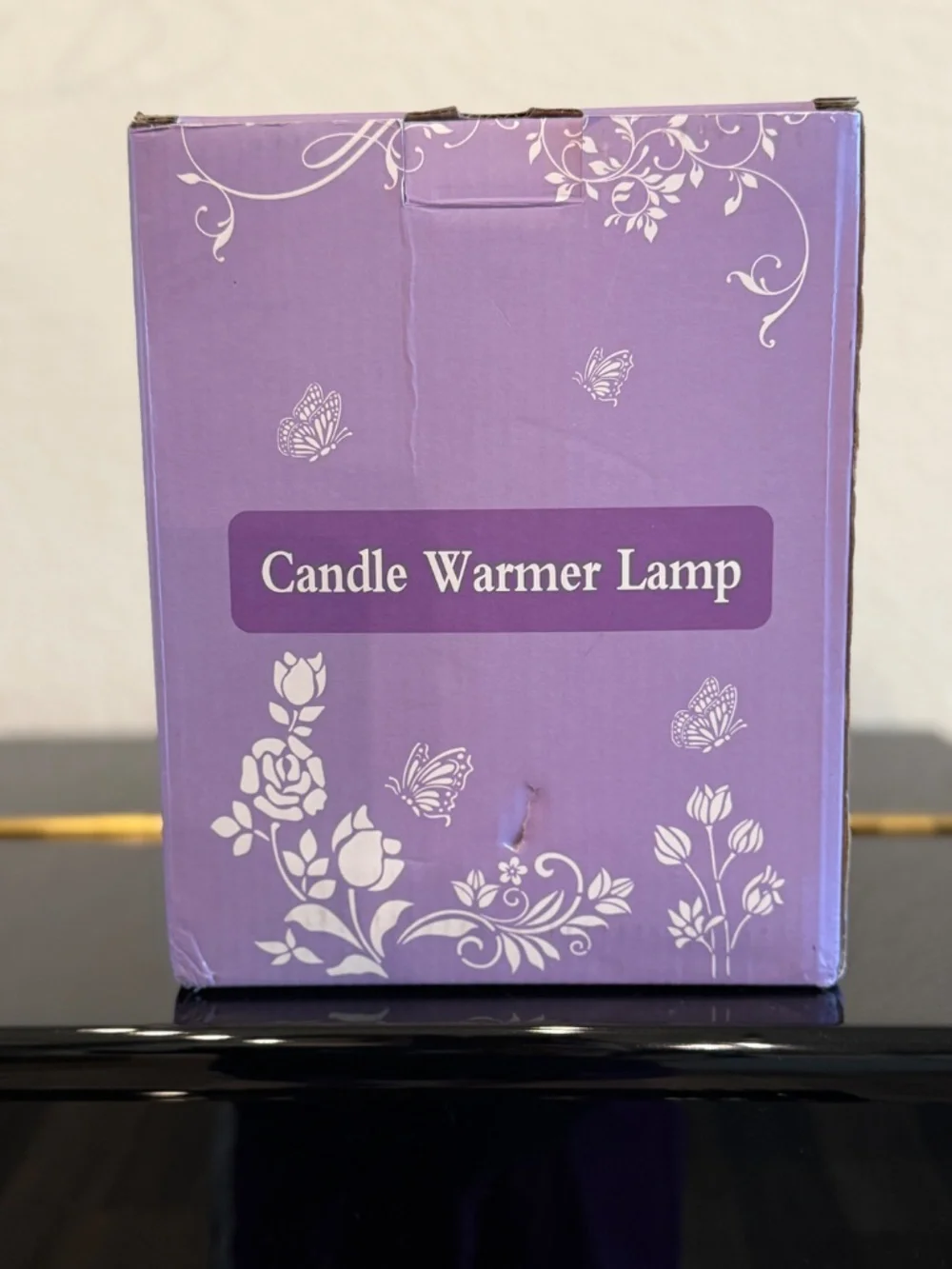 Candle Warmer Lamp Adjustable Height Dimmable for Jar Candles Sea Turtle